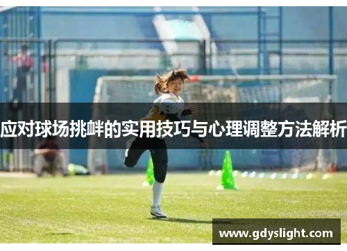 应对球场挑衅的实用技巧与心理调整方法解析