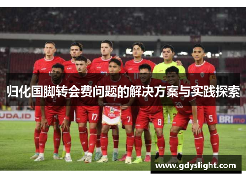 归化国脚转会费问题的解决方案与实践探索