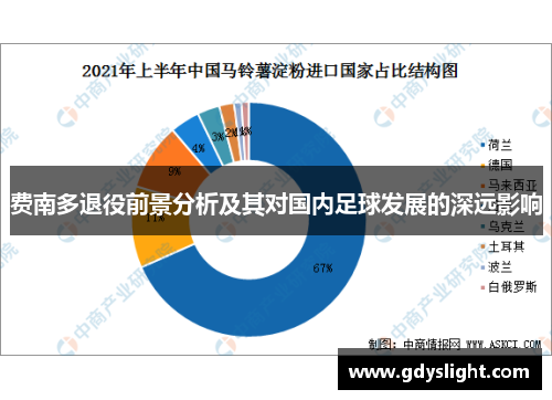 费南多退役前景分析及其对国内足球发展的深远影响 费南多退役前景分析及其对国内足球发展的深远影响